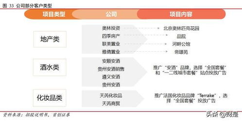 兆訊傳媒研究報(bào)告 開(kāi)拓不止，賽道領(lǐng)航 —— 數(shù)字廣告發(fā)布的變革先鋒與未來(lái)引領(lǐng)者